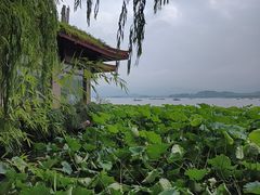 -湖畔居茶楼(湖滨店)
