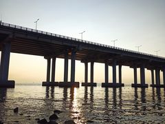 -宝安西湾红树林湿地公园