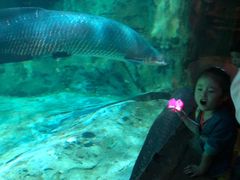 -华夏文旅海洋公园