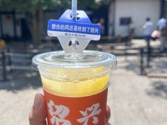 -绍兴鲁迅故里·沈园景区