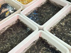 -中环花鸟鱼虫市场