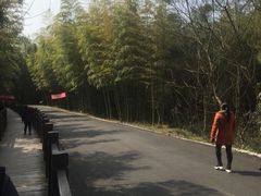 -游子山休闲旅游区