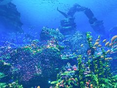 -海合安武汉极地海洋公园