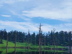 -瓦屋山景区
