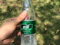 -海珠儿童公园