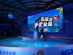 -石家庄海洋公园