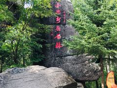 -汤旺河林海奇石景区