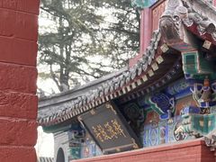 -洛阳白马寺