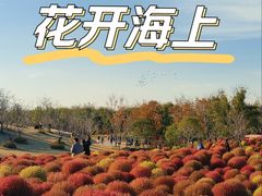 -花开海上生态园