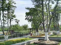 -上海长兴岛郊野公园