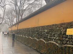 -灵隐飞来峰景区
