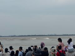 -观潮胜地公园