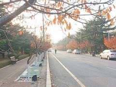 -旅顺留声机博物馆