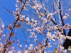 -周口店北京人遗址公园