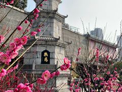 -长春观