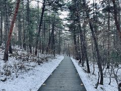 -帽儿山国家森林公园