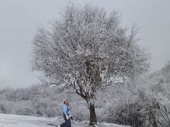 -太子岭滑雪场