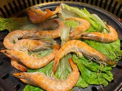 -杨记齐齐哈尔烤肉(五莲路店)