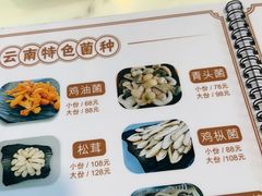 -蘑统田下·野生菌火锅