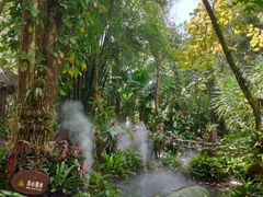 -呀诺达热带雨林