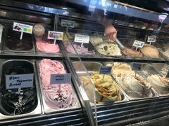 -Dooley's Premium Ice Cream