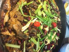 -老板恋上鱼(恒隆广场店)