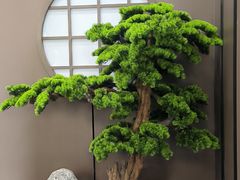 -张刚餐饮(春晓馨苑店)