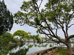 -无锡蠡湖国家湿地公园-蠡园