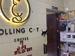 -滚猫咖啡·猫咖·猫友好撸猫(未来城店)
