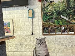 -平行世界·猫咖(首经贸店)