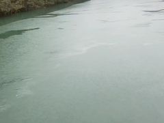 -杨家寨