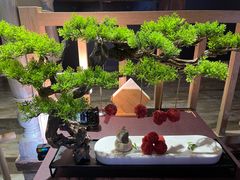 -IPSTAR·潮玩星球·主题店(上海店)