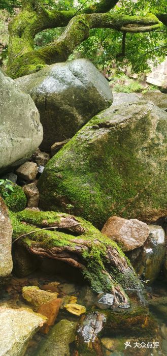 雅鲁激流探险漂流图片