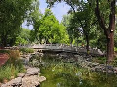 -莲花池公园