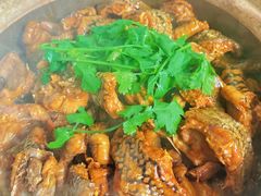 -许鲜生健康生活馆·精细潮菜(奥绅体育公园店)