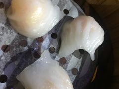 -肥佬夜茶(早茶·西乡店)