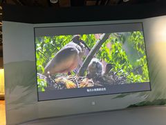 -陕西自然博物馆