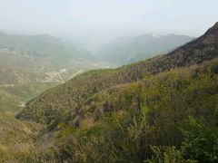 -白草畔自然风景区