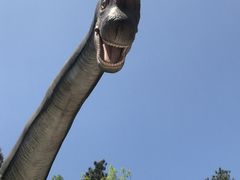 -梦幻奥陶纪景区