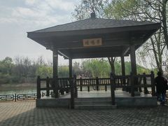 -大兴滨河森林公园