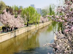 -海棠花溪(元大都城垣遗址公园)