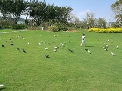 -白鹭洲公园