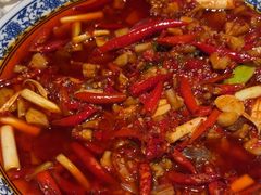 -院8里·小聚园老川菜(九眼桥店)