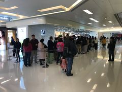 -Lady M(沙田新城市广场店)