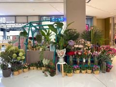 -BoBloom花店(晶耀前滩店)