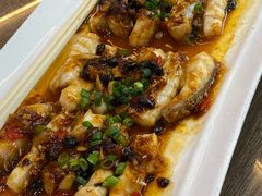 -港升鱼师傅·中山脆肉鲩