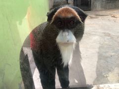 -石家庄市动物园