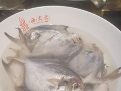 -西火火·川派小火锅(西溪银泰店)