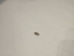 -泓0871臻选云南菜·味庄