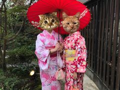 -京都冈本和服体验租赁店(清水寺店)